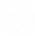 PlaysVault logo
